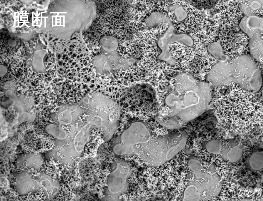 黄瓜视频污污下载烧结管式膜电镜照片